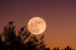 full moon in sagittarius