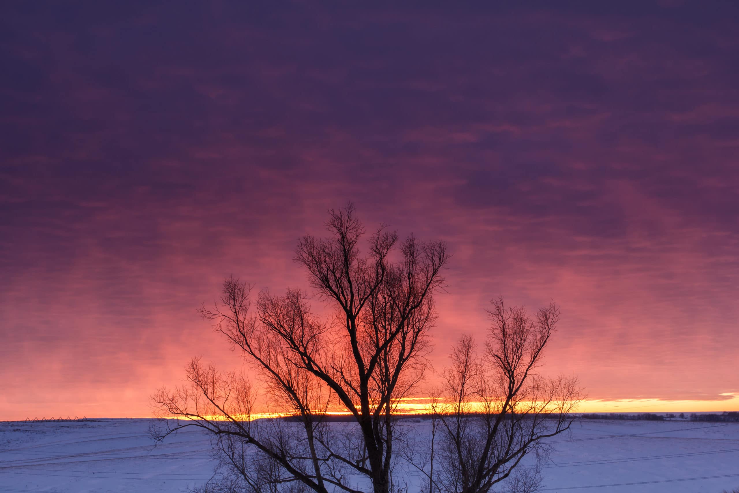 winter-solstice-find-your-pre-solstice-rhythm-jennifer-racioppi