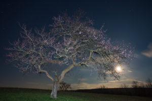 full moon in libra