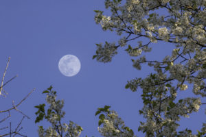 full moon in libra